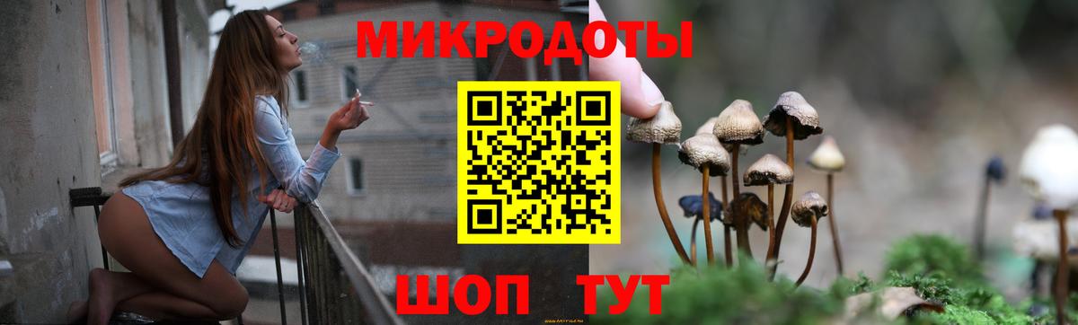 Галлюциногенные грибы Psilocybe  Вход с VPN  Сухой Лог 